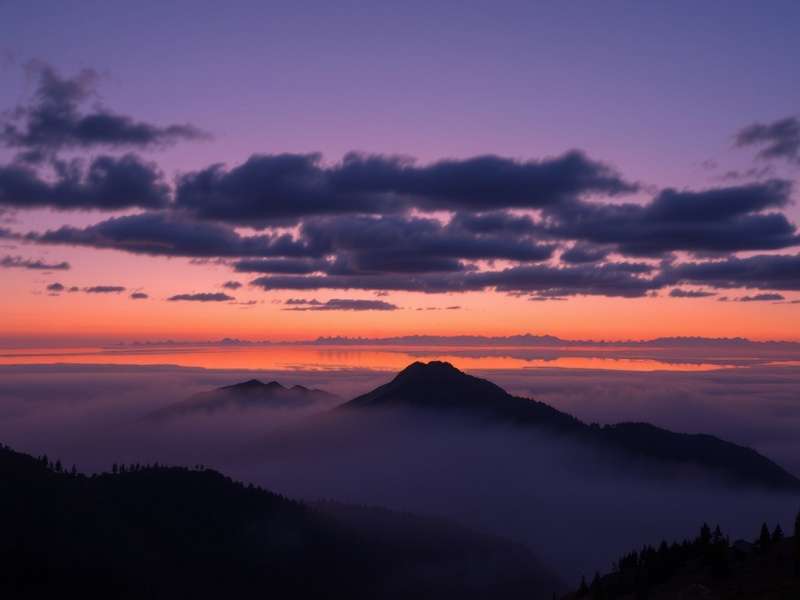 IT技能培训学员项目展示